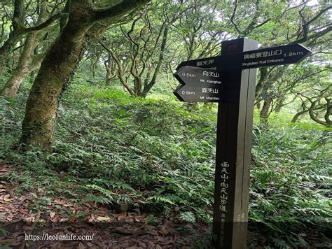 興福寮登山口|【台北景點】向天池火口湖/清天宮登山口/面天山一日遊/健走路線。